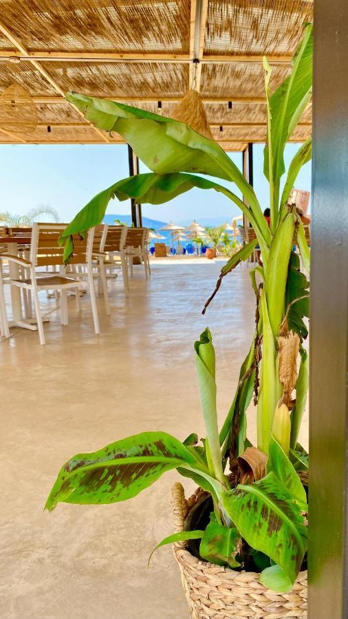 Zoom Beach Hotel 캔디아 외부 사진
